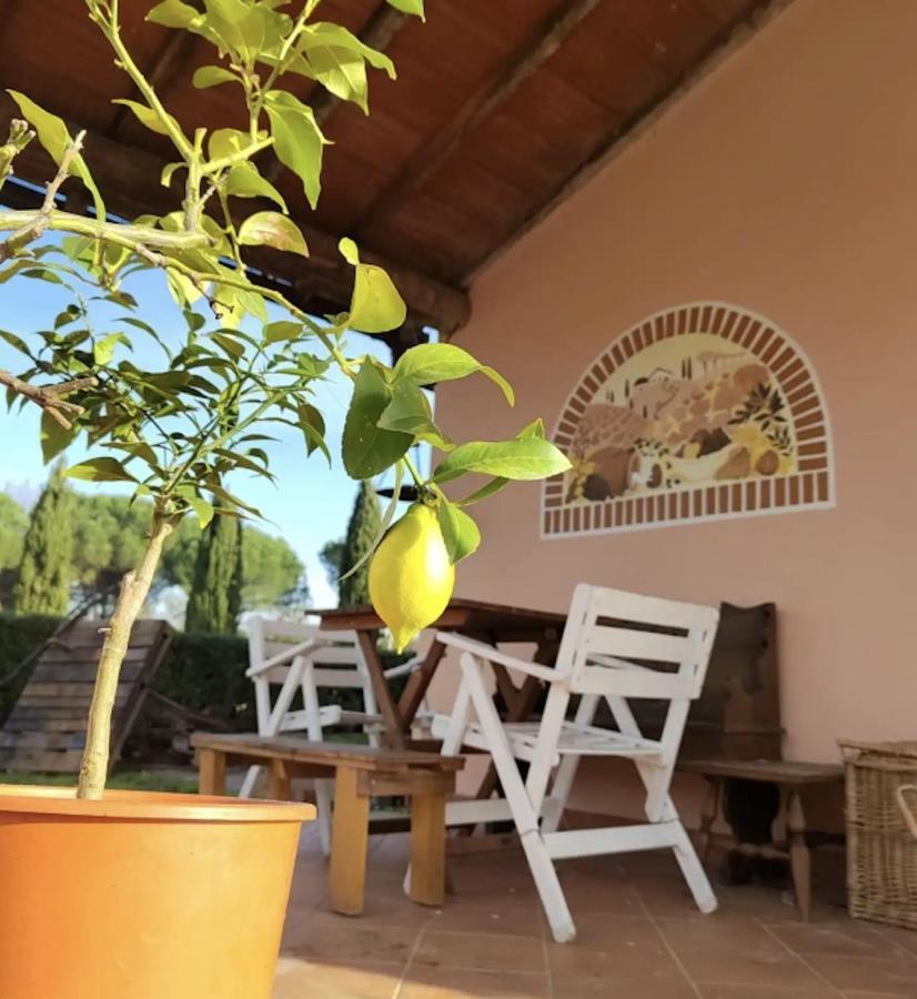 Villa Donnola: Casa Rosmarino Fucecchio Extérieur photo