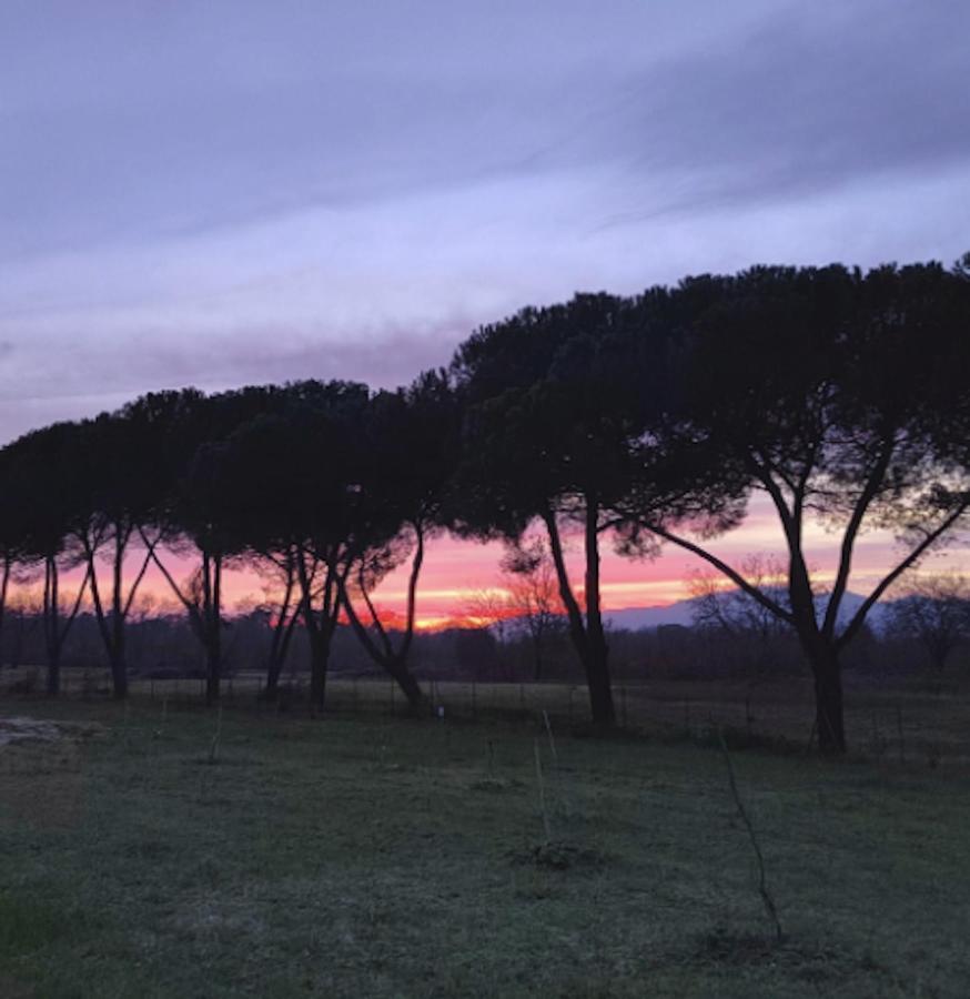 Villa Donnola: Casa Rosmarino Fucecchio Extérieur photo