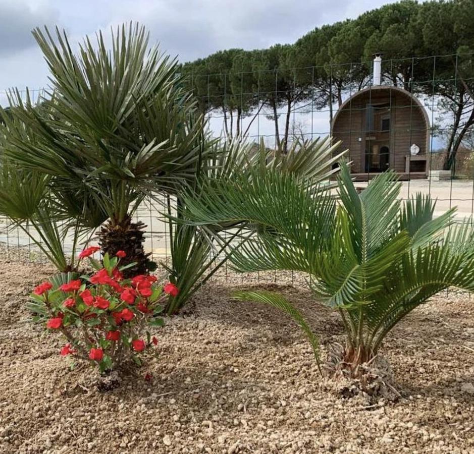 Villa Donnola: Casa Rosmarino Fucecchio Extérieur photo